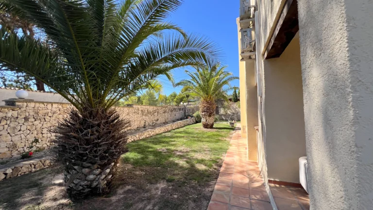 Garden area with palm trees and stone boundary at countryside finca in Benissa