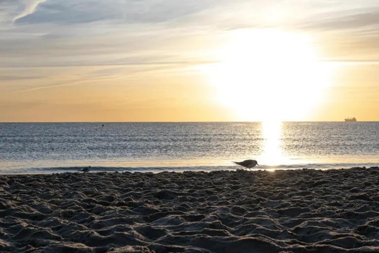 Jávea Climate Overview: Year-Round Weather on the Costa Blanca