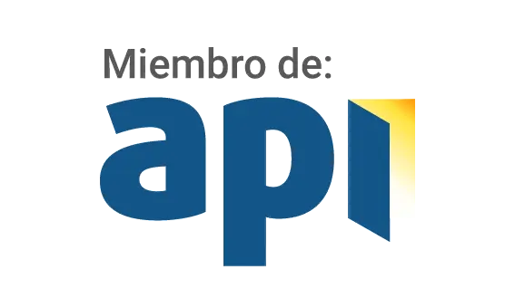 API Professional association logo