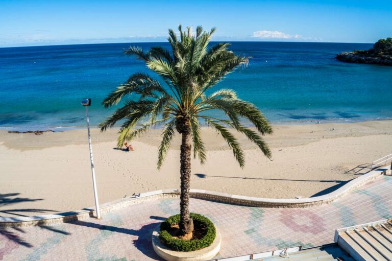 Beachfront views from a renovated apartment by La Fossa Beach in Calpe with palm tree, sandy beach, promenade and Mediterranean Sea