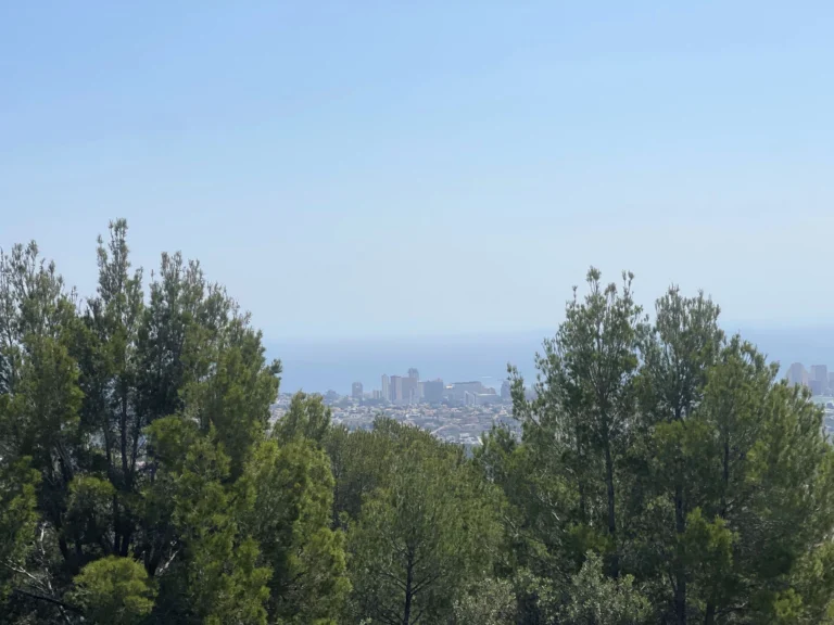 Calpe coastline view from villa in Oltamar
