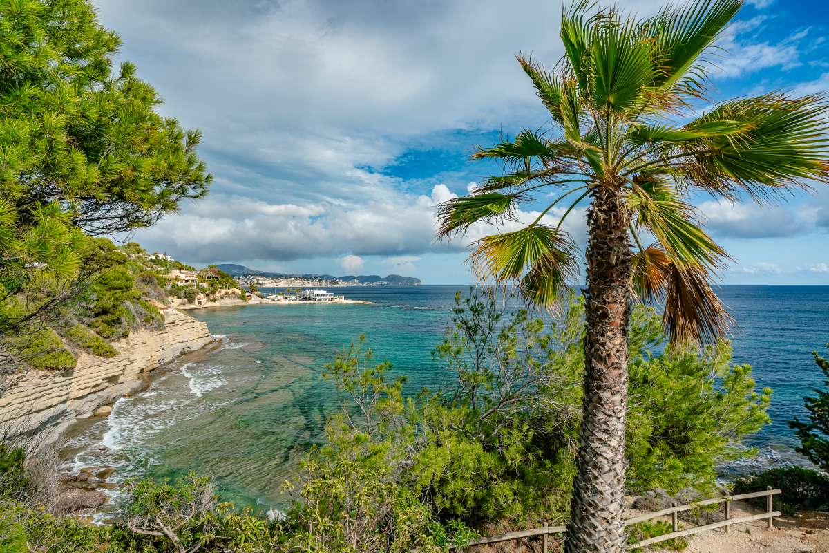 Coastal views with palm tree and turquoise sea from a frontline villa in Les Bassetes, Benissa Coast.