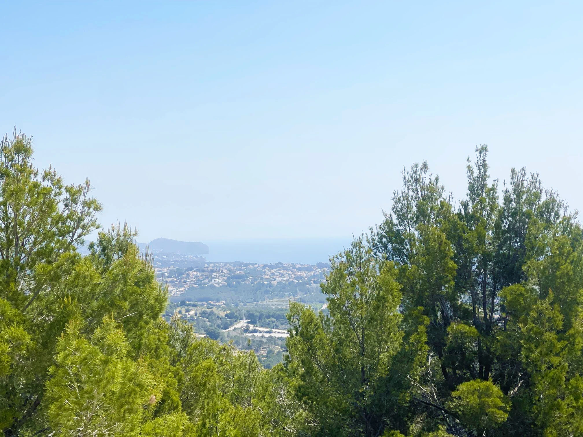 Distant sea view through pine trees from villa in Oltamar, Calpe