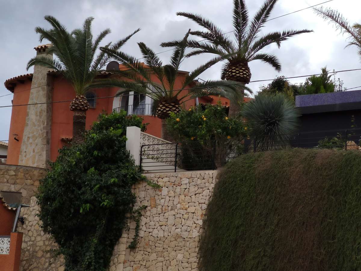 Exterior view of a Mediterranean villa with palm trees and stone wall in the quiet residential area of Canuta, Calpe.