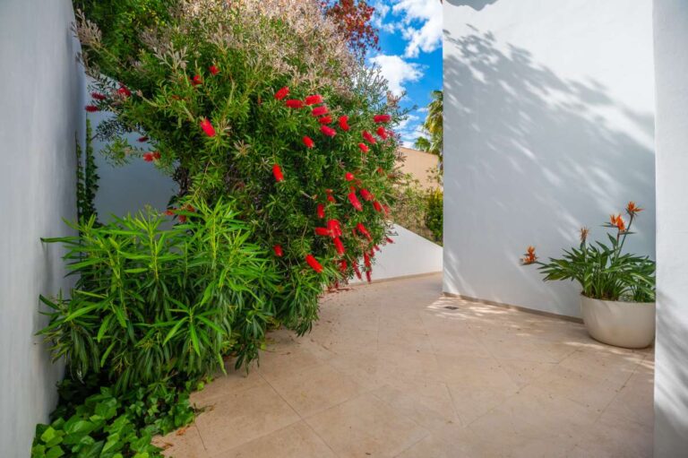 Garden pathway at a modern villa in Altea Hills with flowering plants, white exterior walls, Mediterranean planting and private outdoor space
