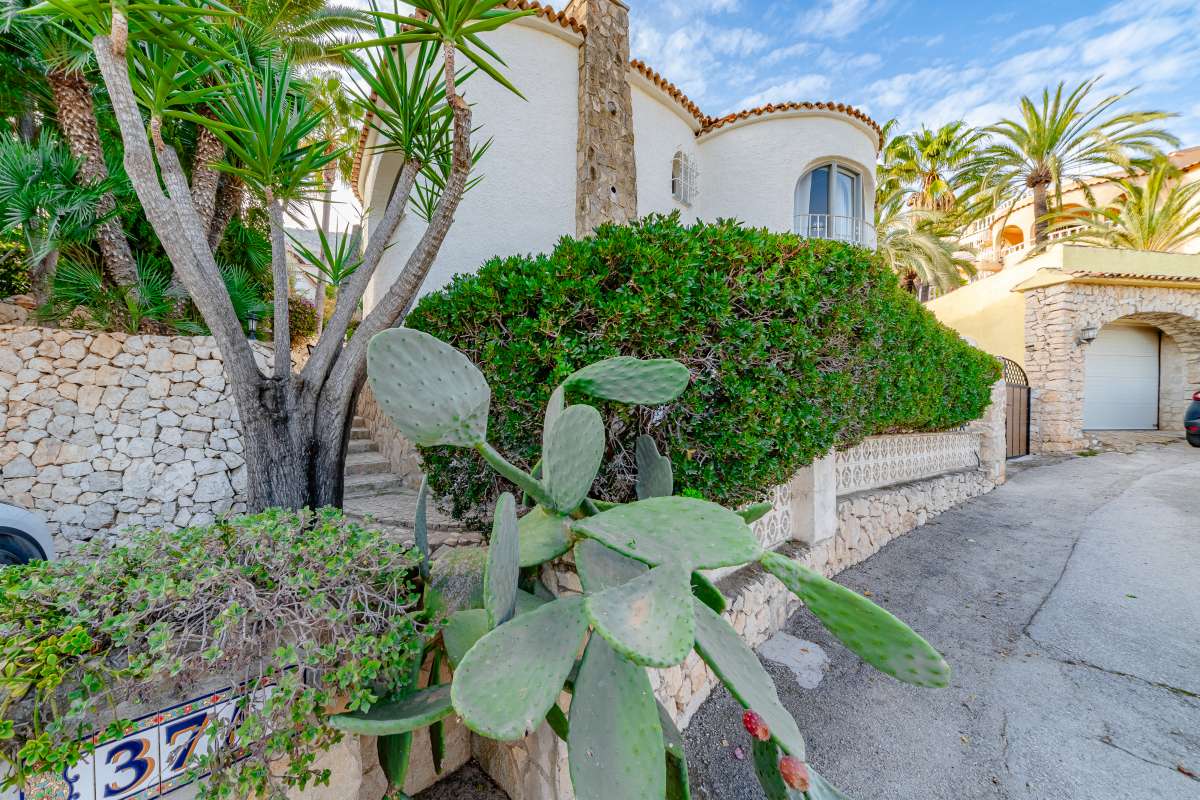 Garden pathway with cactus, palm trees and Mediterranean planting at a villa in Maryvilla, Calp