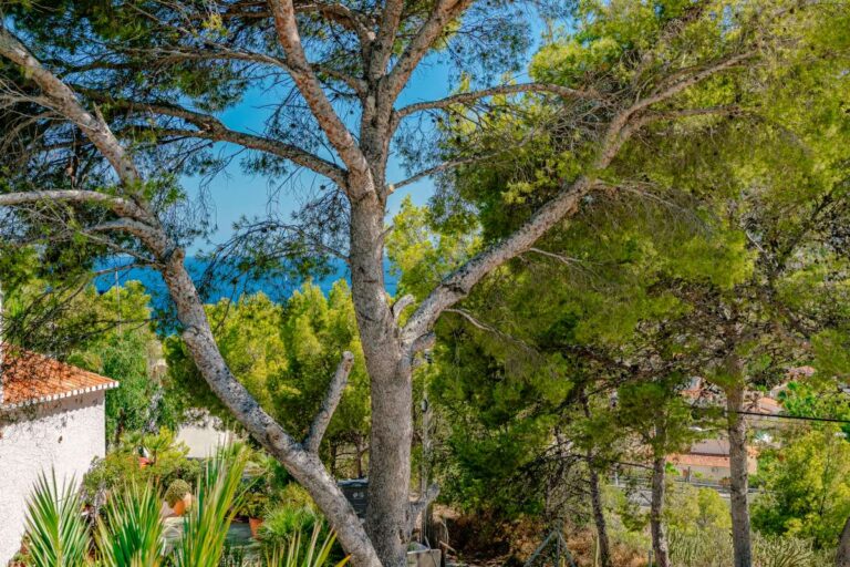 Mediterranean garden area at a modern villa in Calpe with mature trees and surrounding greenery