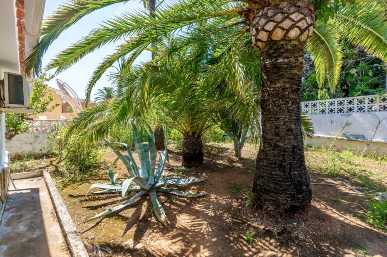 Mediterranean garden at a renovated single-level villa in Moraira with palm trees, mature planting and landscaped outdoor space