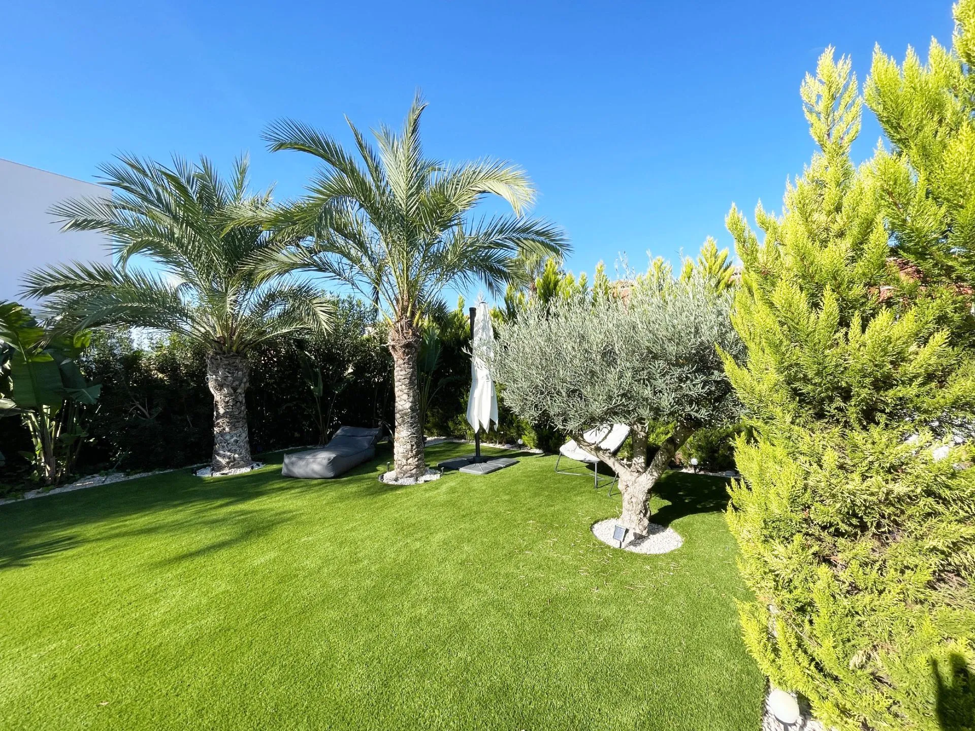 Mediterranean garden with palm trees at modern villa in Calpe