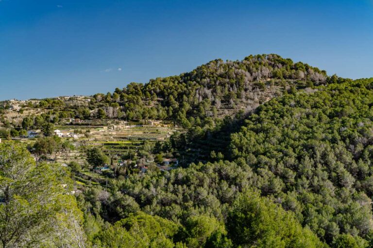 Panoramic mountain views from a semi-detached house in Calpe with pine trees and surrounding countryside