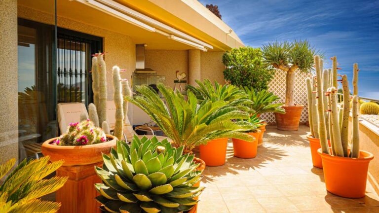 Terrace at a luxury apartment in Sierra de Altea with Mediterranean planting, potted cacti, tiled flooring and open outdoor space
