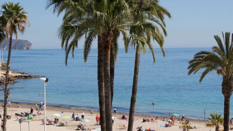 View from a beachfront apartment in La Fossa, Calpe overlooking the sandy beach, palm trees and Mediterranean Sea