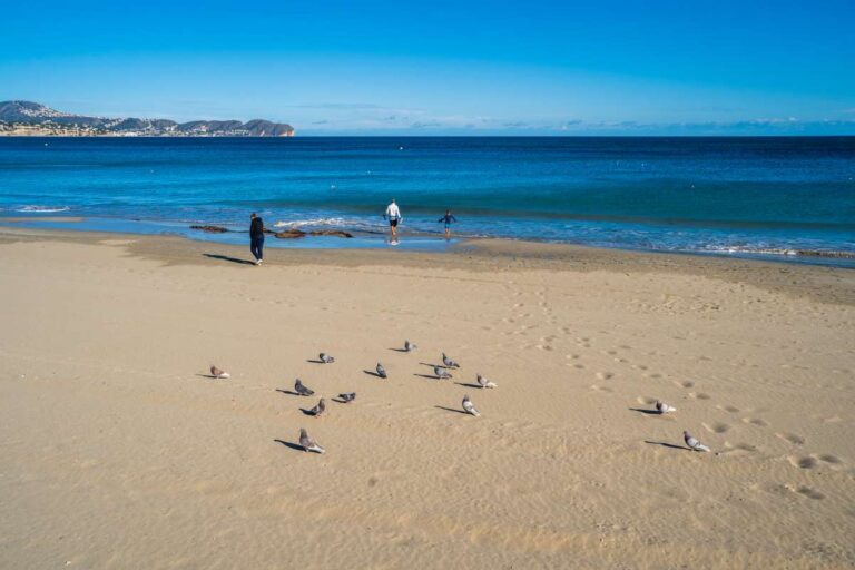 View of La Fossa Beach in Calpe with sandy shoreline, seabirds, people walking and calm Mediterranean Sea