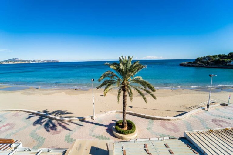 Views over La Fossa Beach from a beachfront apartment in Calpe with sandy beach, palm tree, promenade and Mediterranean Sea