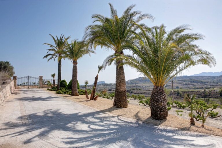 Panoramic terrace at a rustic Mediterranean estate near Moraira with palm trees, countryside views, sea views and spacious outdoor areas
