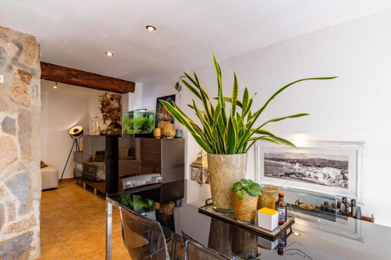 Sitting area inside a Mediterranean villa near Cala Baladrar in Benissa Costa with natural stone wall, indoor plants, TV area and bright interior